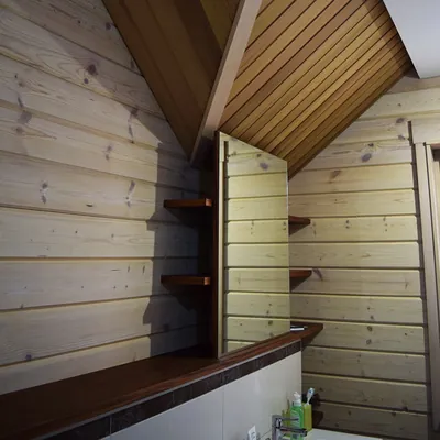 Работы Дерево и краска — фото №307