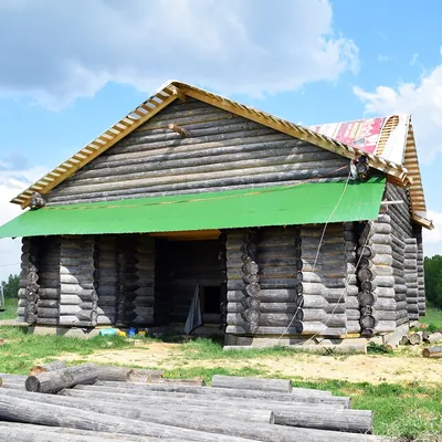 Работы Дерево и краска — фото №211